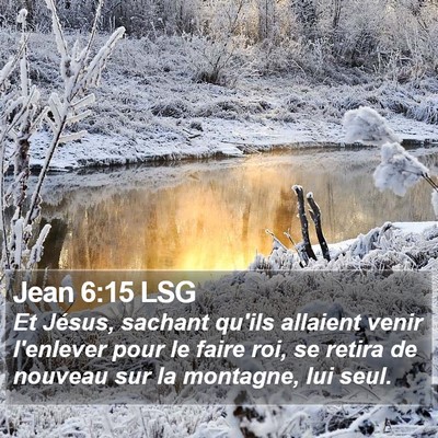 Jean 6:15 LSG Bible Verse Image