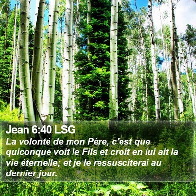 Jean 6:40 LSG Bible Verse Image
