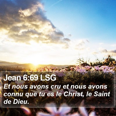 Jean 6:69 LSG Bible Verse Image