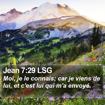 Jean 7:29 LSG Bible Verse Image