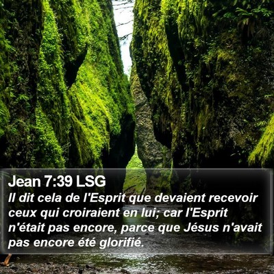 Jean 7:39 LSG Bible Verse Image