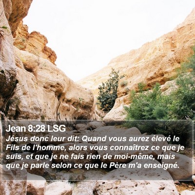 Jean 8:28 LSG Bible Verse Image