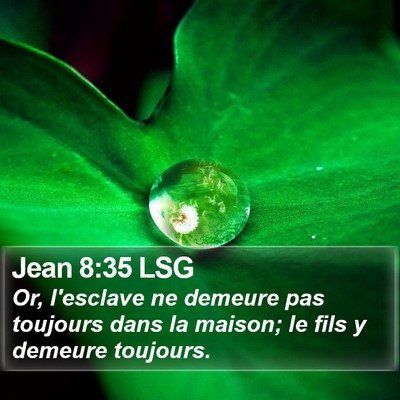 Jean 8:35 LSG Bible Verse Image