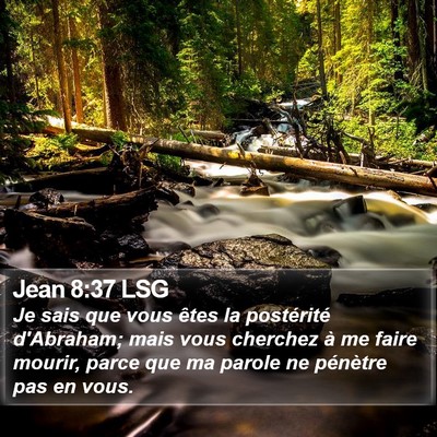 Jean 8:37 LSG Bible Verse Image