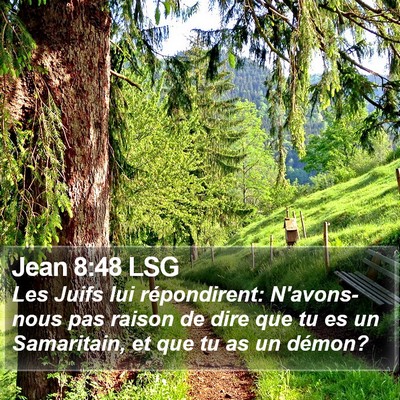 Jean 8:48 LSG Bible Verse Image