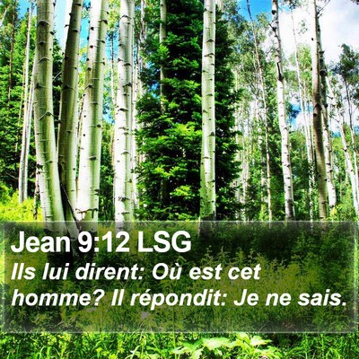 Jean 9:12 LSG Bible Verse Image