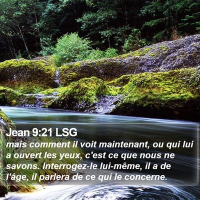 Jean 9:21 LSG Bible Verse Image