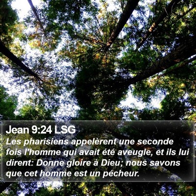 Jean 9:24 LSG Bible Verse Image