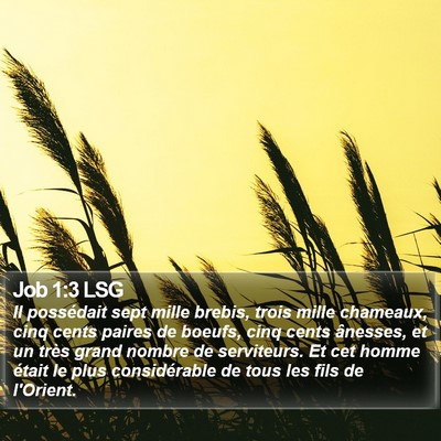 Job 1:3 LSG Bible Verse Image