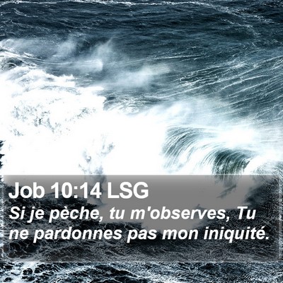 Job 10:14 LSG Bible Verse Image