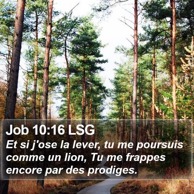Job 10:16 LSG Bible Verse Image