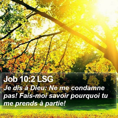 Job 10:2 LSG Bible Verse Image