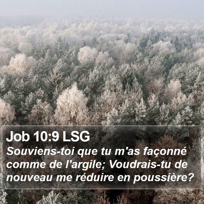 Job 10:9 LSG Bible Verse Image