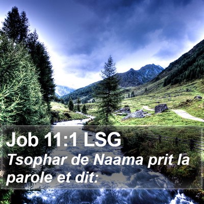 Job 11:1 LSG Bible Verse Image