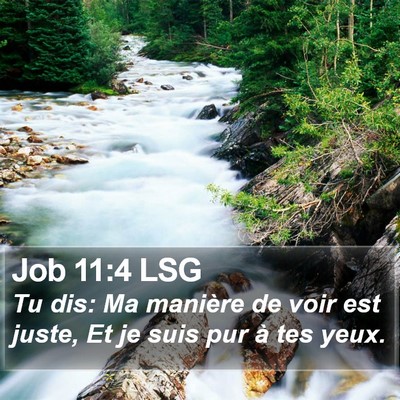 Job 11:4 LSG Bible Verse Image
