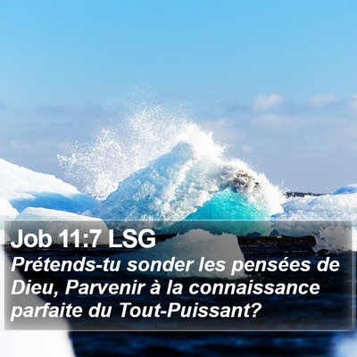 Job 11:7 LSG Bible Verse Image