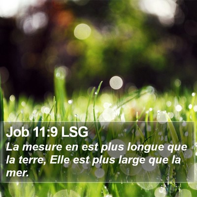 Job 11:9 LSG Bible Verse Image