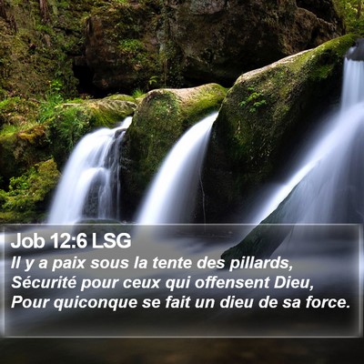 Job 12:6 LSG Bible Verse Image