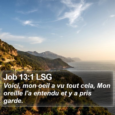 Job 13:1 LSG Bible Verse Image