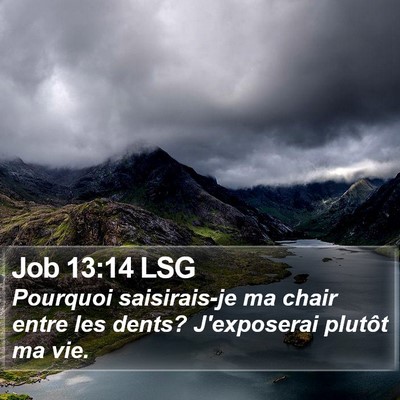 Job 13:14 LSG Bible Verse Image