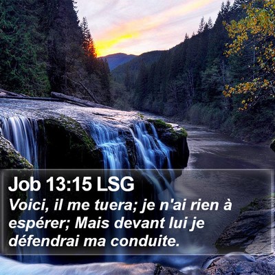Job 13:15 LSG Bible Verse Image