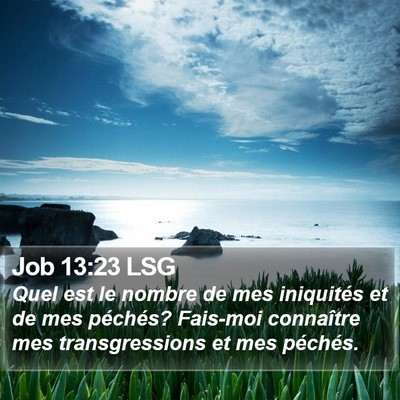 Job 13:23 LSG Bible Verse Image
