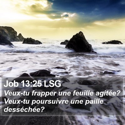 Job 13:25 LSG Bible Verse Image