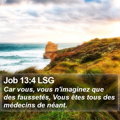 Job 13:4 LSG Bible Verse Image
