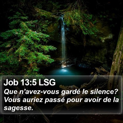 Job 13:5 LSG Bible Verse Image