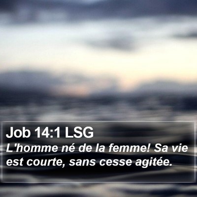 Job 14:1 LSG Bible Verse Image