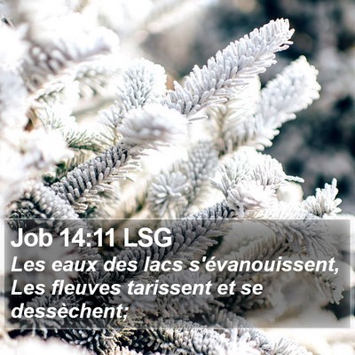 Job 14:11 LSG Bible Verse Image