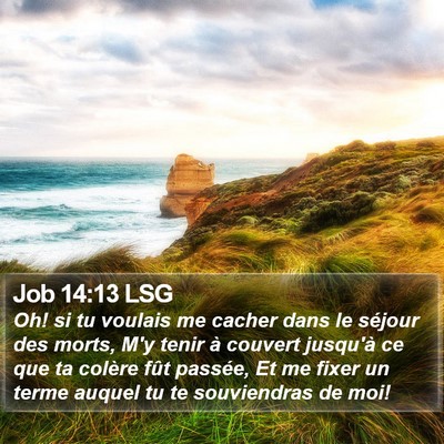 Job 14:13 LSG Bible Verse Image