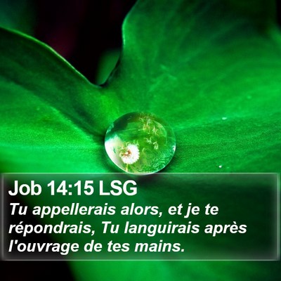 Job 14:15 LSG Bible Verse Image