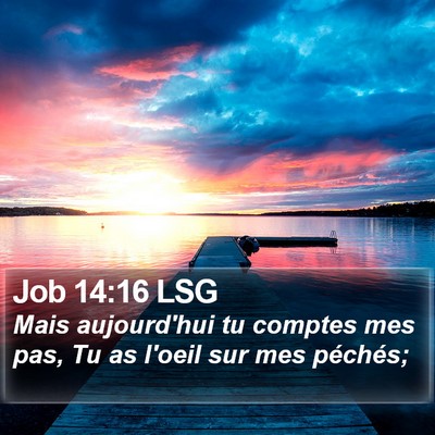 Job 14:16 LSG Bible Verse Image