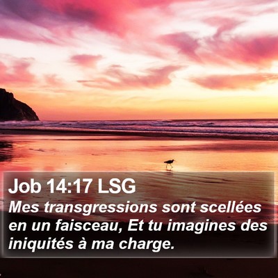 Job 14:17 LSG Bible Verse Image