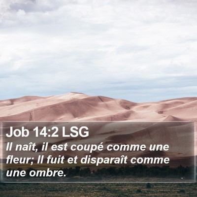 Job 14:2 LSG Bible Verse Image