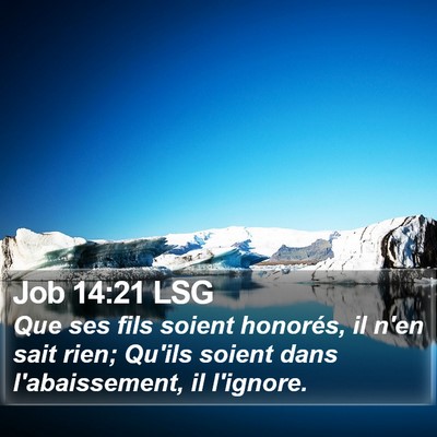 Job 14:21 LSG Bible Verse Image