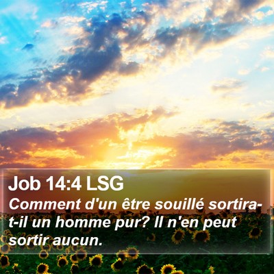Job 14:4 LSG Bible Verse Image