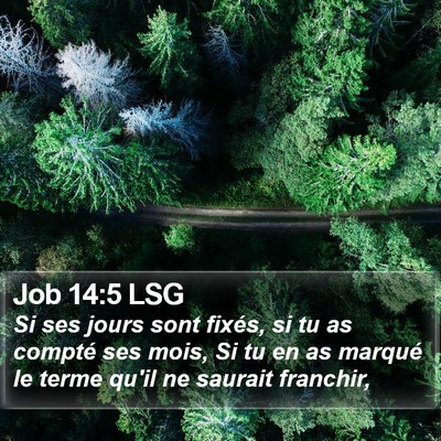 Job 14:5 LSG Bible Verse Image