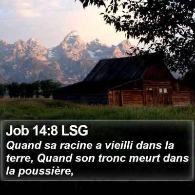 Job 14:8 LSG Bible Verse Image