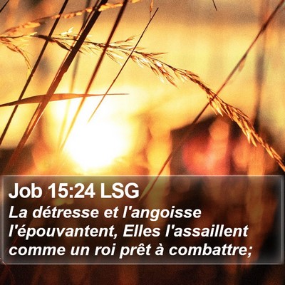 Job 15:24 LSG Bible Verse Image