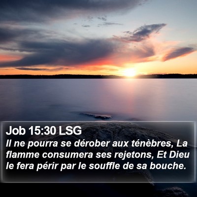 Job 15:30 LSG Bible Verse Image