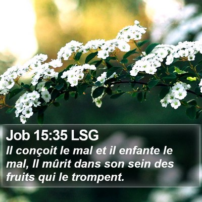 Job 15:35 LSG Bible Verse Image