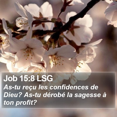Job 15:8 LSG Bible Verse Image