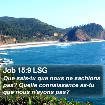 Job 15:9 LSG Bible Verse Image
