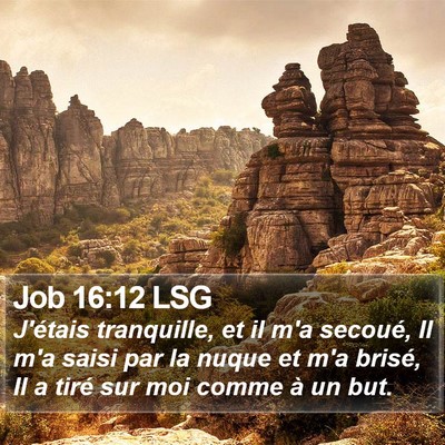 Job 16:12 LSG Bible Verse Image