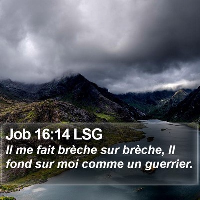 Job 16:14 LSG Bible Verse Image