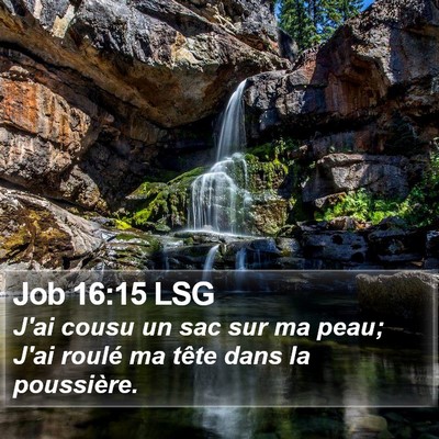 Job 16:15 LSG Bible Verse Image