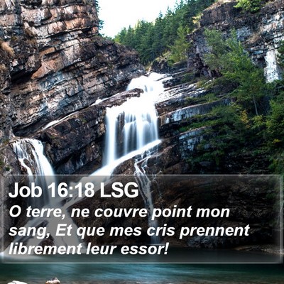 Job 16:18 LSG Bible Verse Image