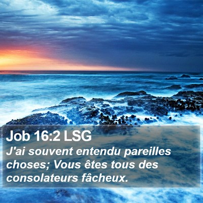 Job 16:2 LSG Bible Verse Image